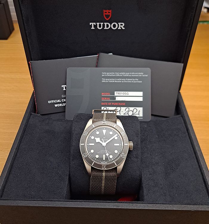 Tudor Black Bay 58 925 Silver Ref. 79010SG